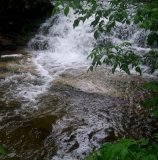 Wyldwood Sojourn Retreat