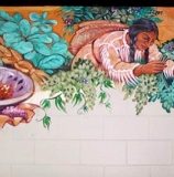 Maureen Walton Murals